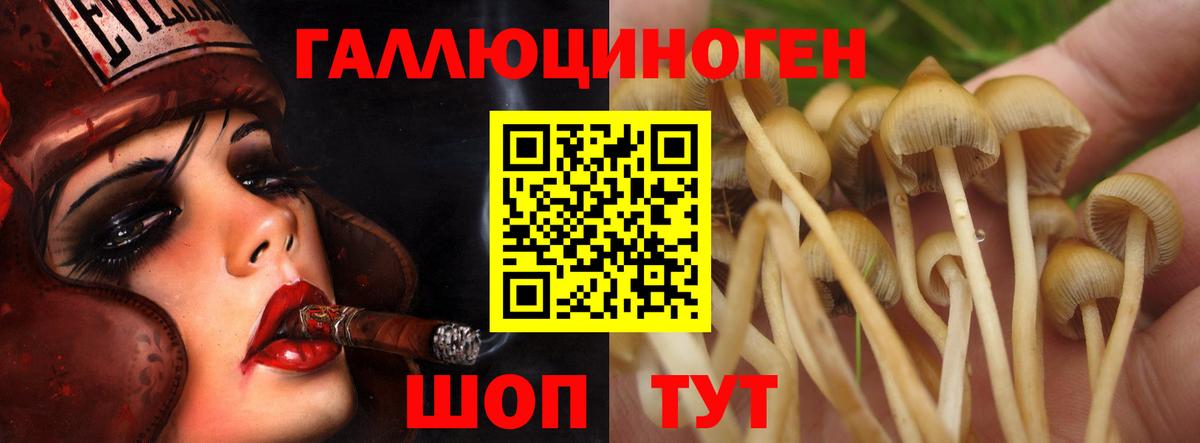 Псилоцибиновые грибы GOLDEN TEACHER Жигулёвск