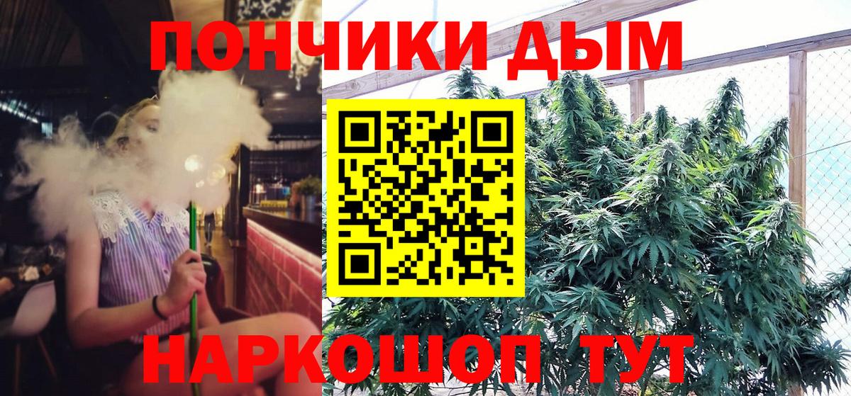 Бошки Шишки ГИДРОПОН  Бошки Шишки SATIVA & INDICA  Вход с VPN  Жигулёвск  Шишки марихуана марихуана 